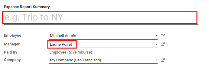 Escriba una breve descripción y seleccione a un gerente para el reporte.