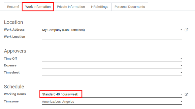 El horario laboral se encuentra en la pestaña Información laboral.